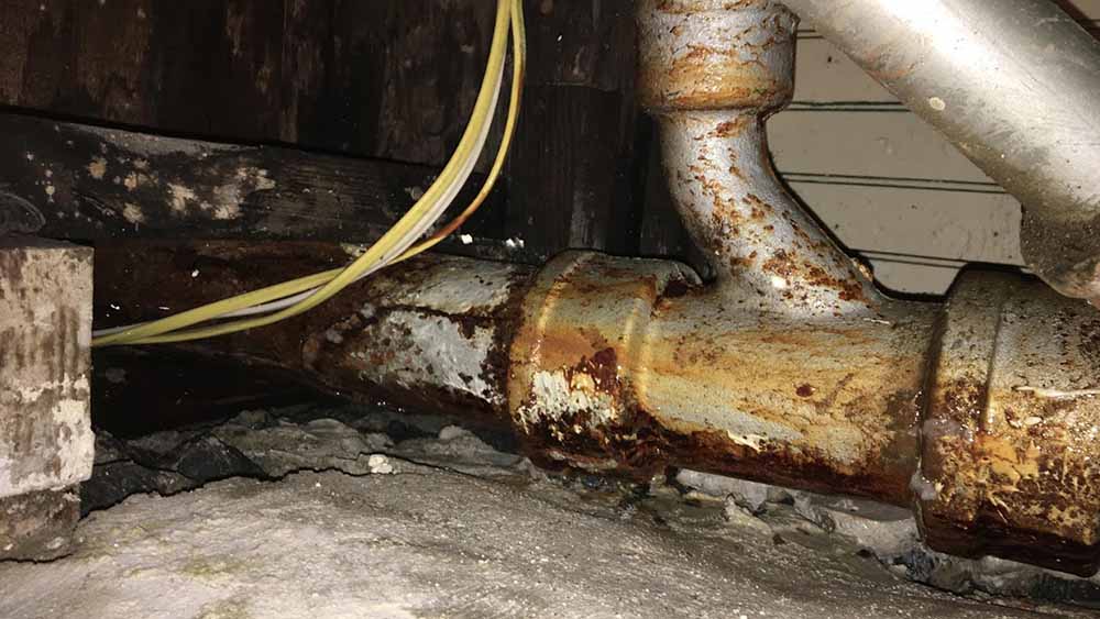 Common Causes of Water Line Damage