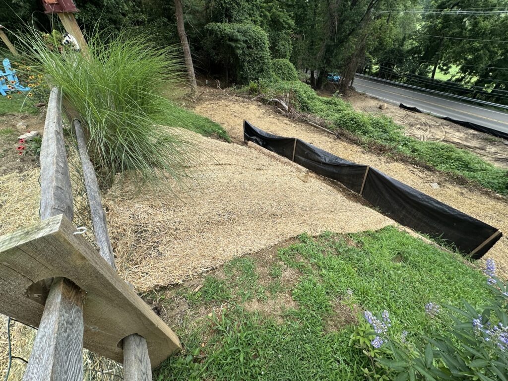 Glenolden Drain & Sewer Solutions: Trenchless Experts in Your Town