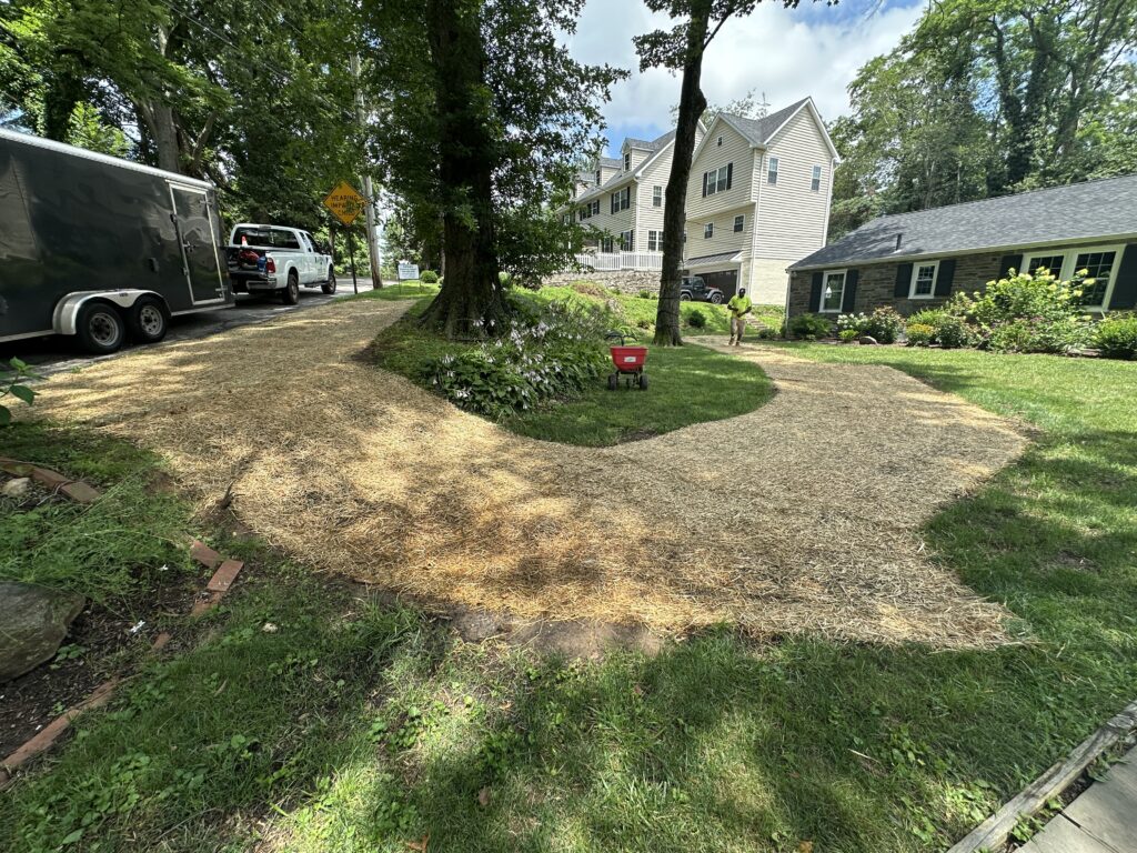 Haverford Township: Trenchless Solutions for Your Sewer Woes