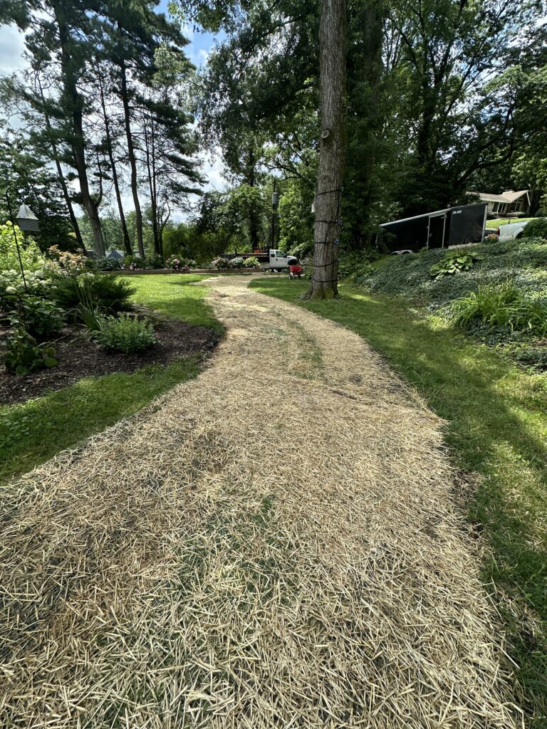 Trenchless Solutions for Gradyville PA: Repairing Drains Without Digging