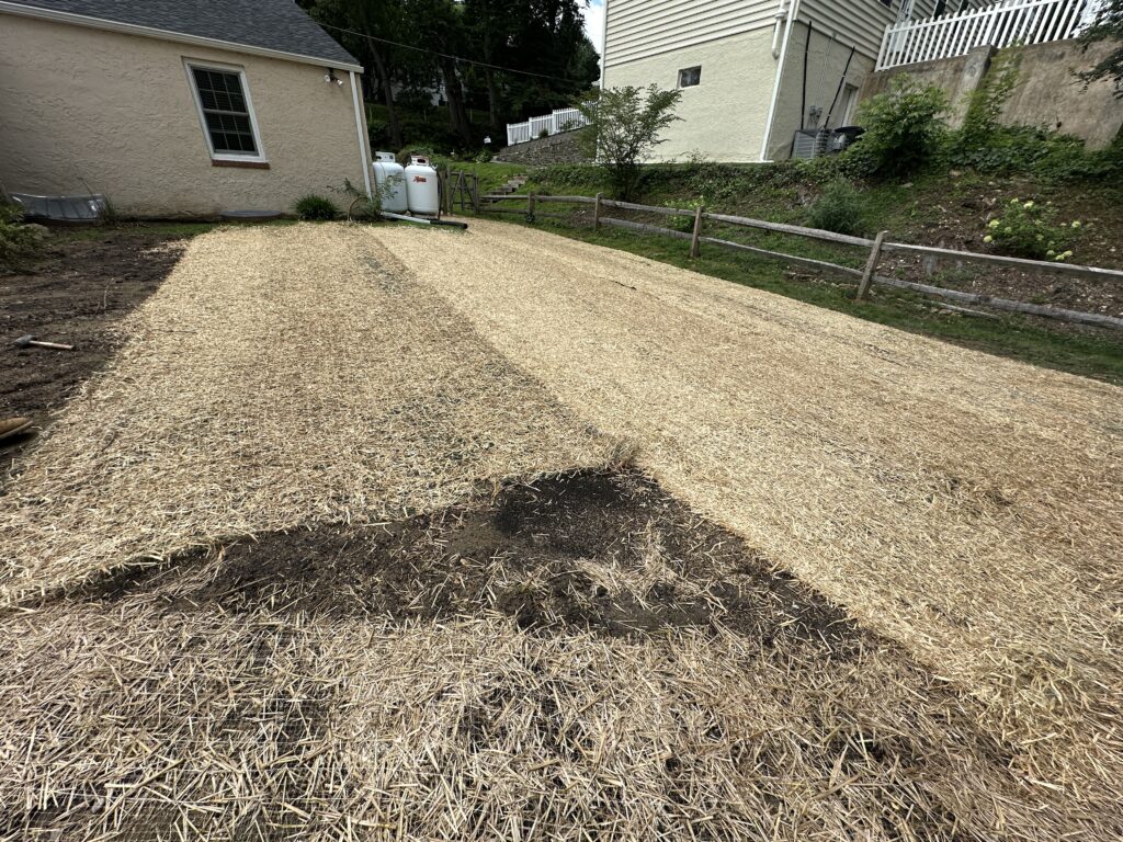 Haverford Township Sewer & Drain Solutions: Advanced Drains